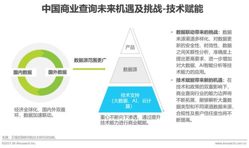 2021年中國(guó)商業(yè)查詢發(fā)展研究報(bào)告