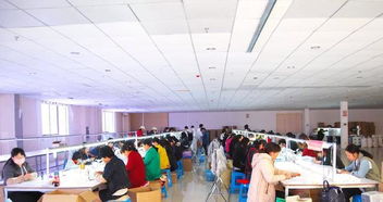 陸良溫州商貿城電子廠的女工們